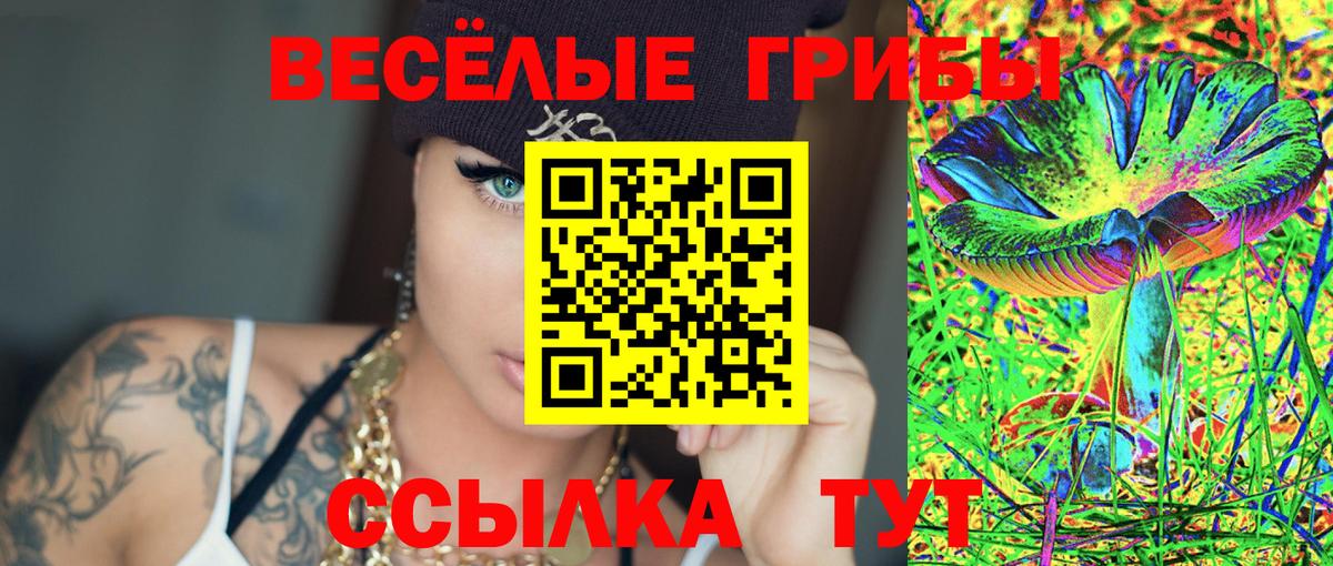 Псилоцибиновые грибы Psilocybine cubensis  Вход с VPN  Киров 