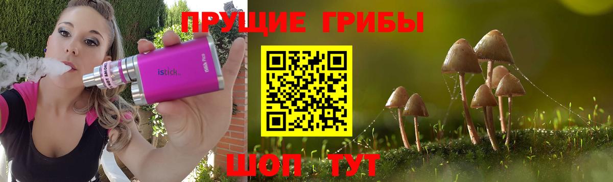 Псилоцибиновые грибы ЛСД Киров