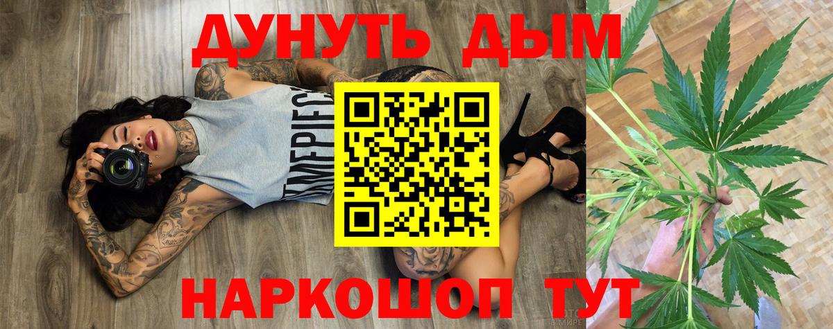 Каннабис конопля Киров